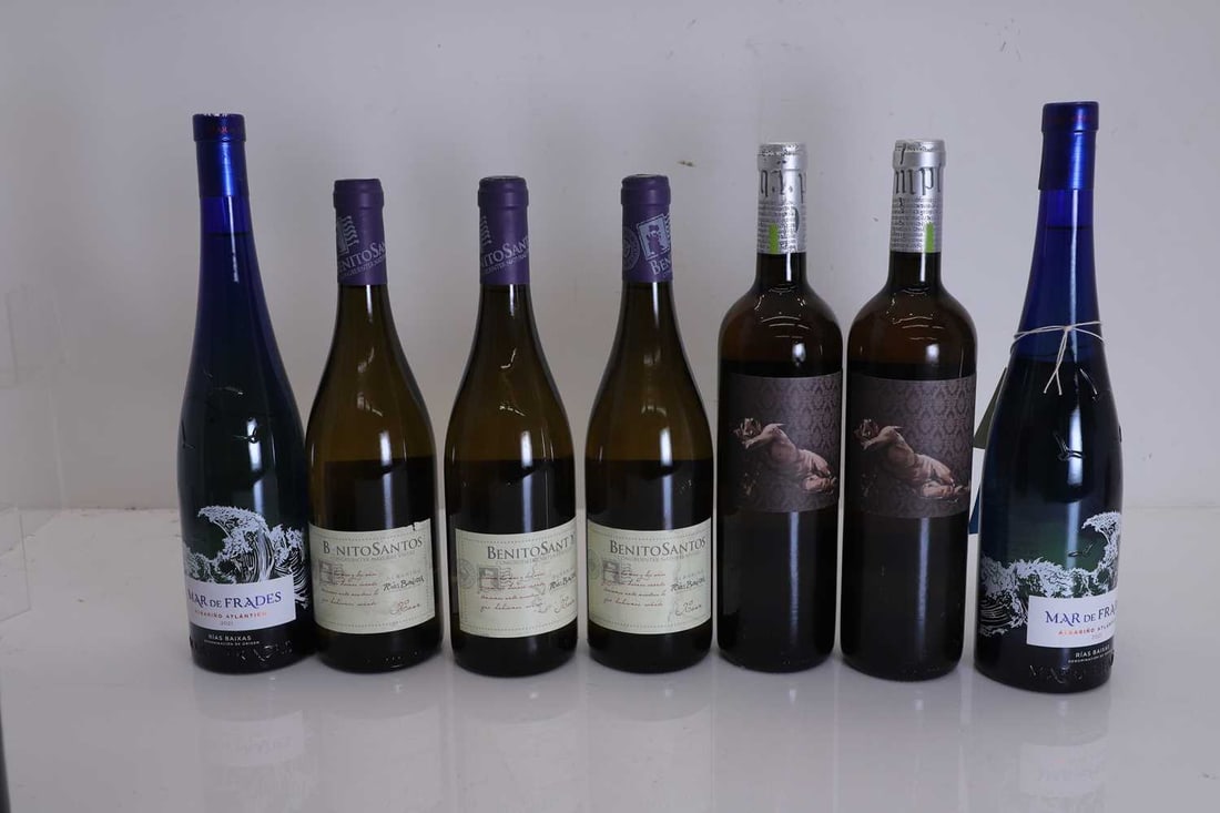 A selection of Spanish white wines,: A selection of Spanish white wines, assorted makers and vintages, as per photographs (13 bottles in total)Shipping Disclaimer: Please note we cannot guarantee condition of contents or quality of