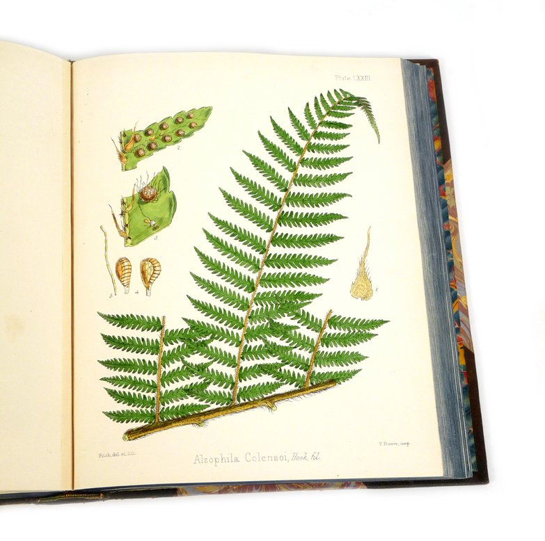 HOOKER, Joseph Dalton: The botany of the Antarctic voya: HOOKER, Joseph Dalton: The botany of the Antarctic voyage of the H. M. Discovery ships Erebus and Terror in the years 1839-1843. Under the command of Captain sir James Clark Ross. Volume II (FLORA NOV