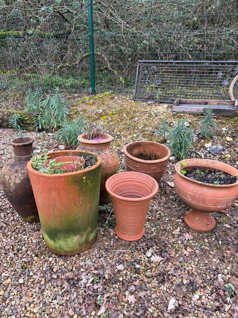 A large collection of terracotta pots, 20th century and later,: A large collection of terracotta pots, 20th century and later, to include a pair of pots with banded decoration, a large terracotta pot with shrub, together with a pair of terracotta pots with moulde