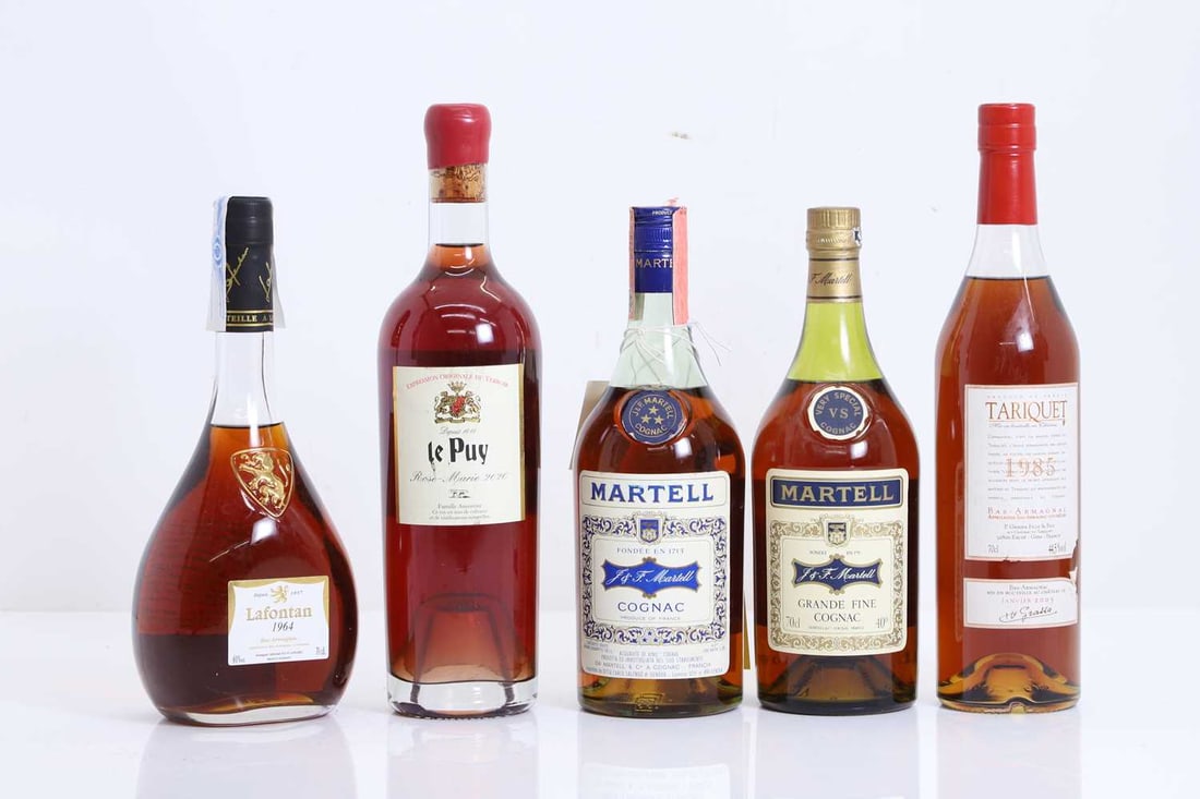 A selection of Cognacs and Armagnacs,: A selection of Cognacs and Armagnacs, assorted makers and types, as per photographs (5 bottles in total)