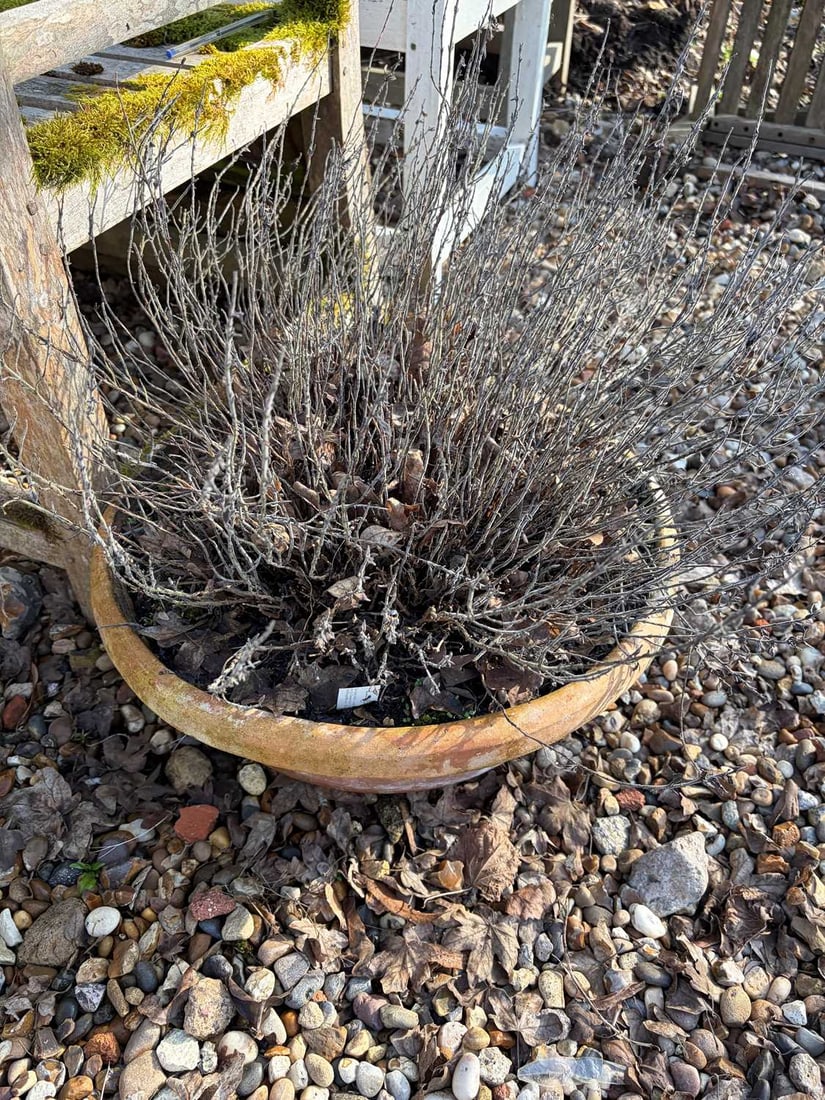 A pair of terracotta pots, 20th century, - 2