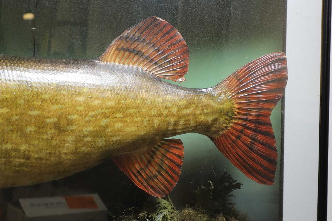 John Cooper and Sons, 20th century, - 2