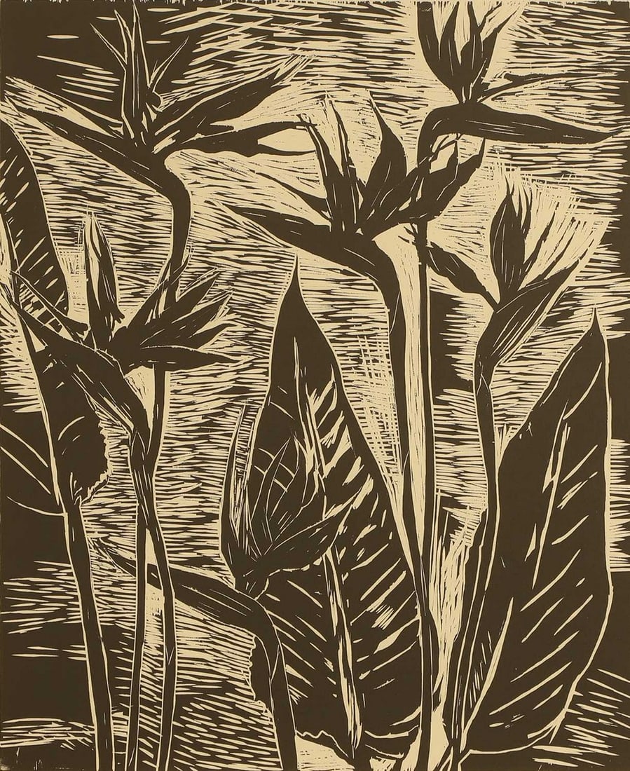 ▲ Elizabeth Blackadder (British, 1931-2021) 'Strelitzia', 1989: ▲ Elizabeth Blackadder (British, 1931-2021) 'Strelitzia', 1989 woodcut, signed 'Elizabeth Blackadder' in pencil l.r., inscribed 'Artist's Proof' l.l. (sheet 90 x 74cm; framed 97 x 81cm) Conditio