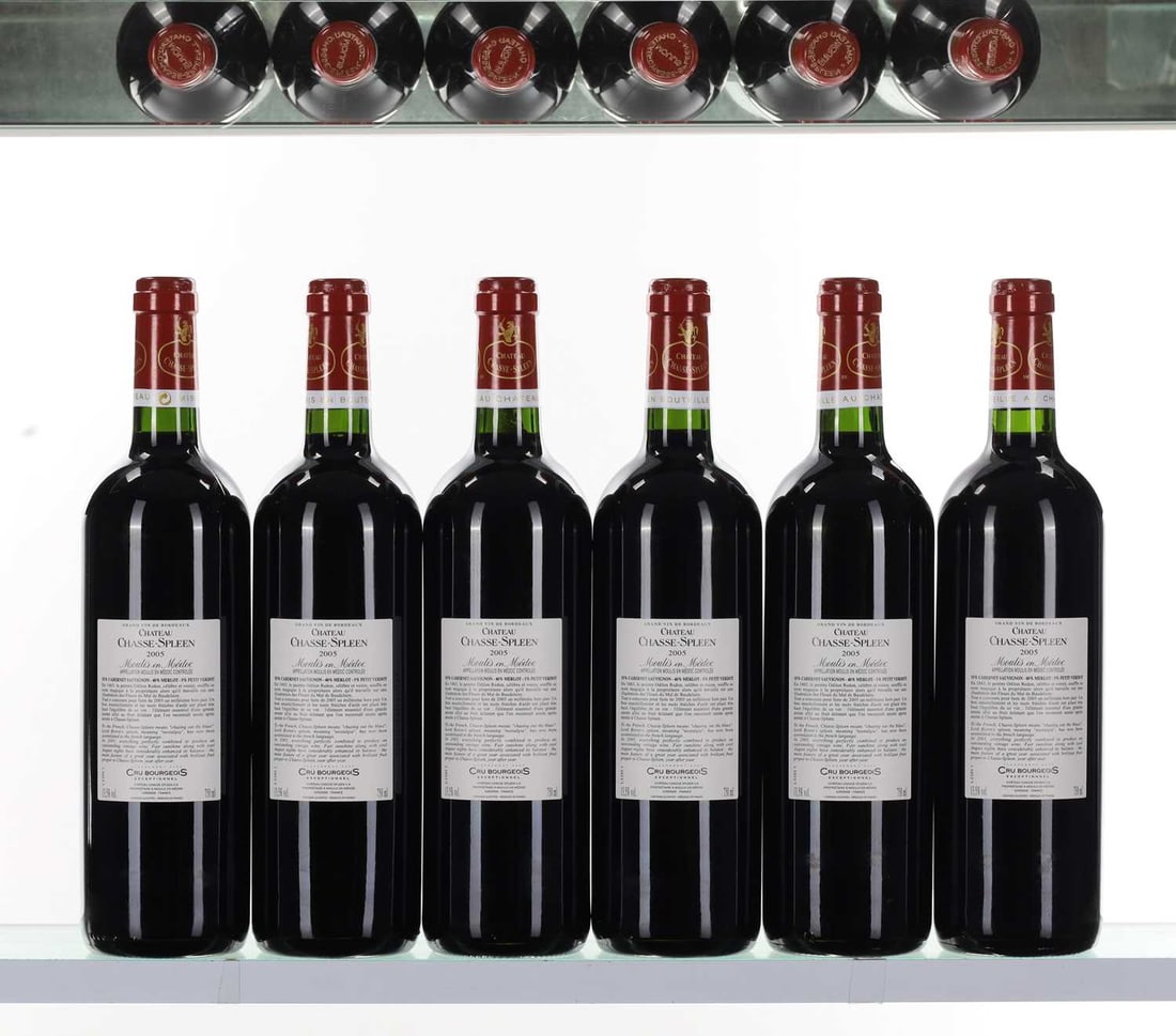 Chateau Chasse-Spleen, Moulis-en-Medoc, 2005 - 2