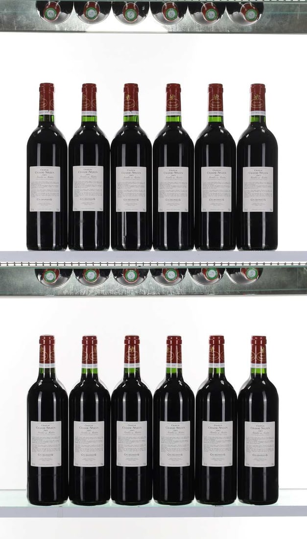 Chateau Chasse-Spleen, Moulis-en-Medoc, 2003 - 2