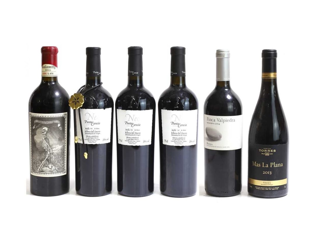 A selection of Spanish red wines,: A selection of Spanish red wines, including 3 x Neo, Punta Esencia, Ribera del Duero, 2004, 1 x Torres, Mas La Plana, 2013, 1 x Finca Valpedia, Rioja, 2014, 1 x Kalamity, Rioja, 2015 (6 bottles in to