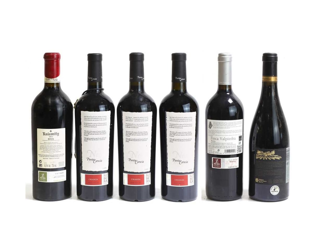 A selection of Spanish red wines, - 2