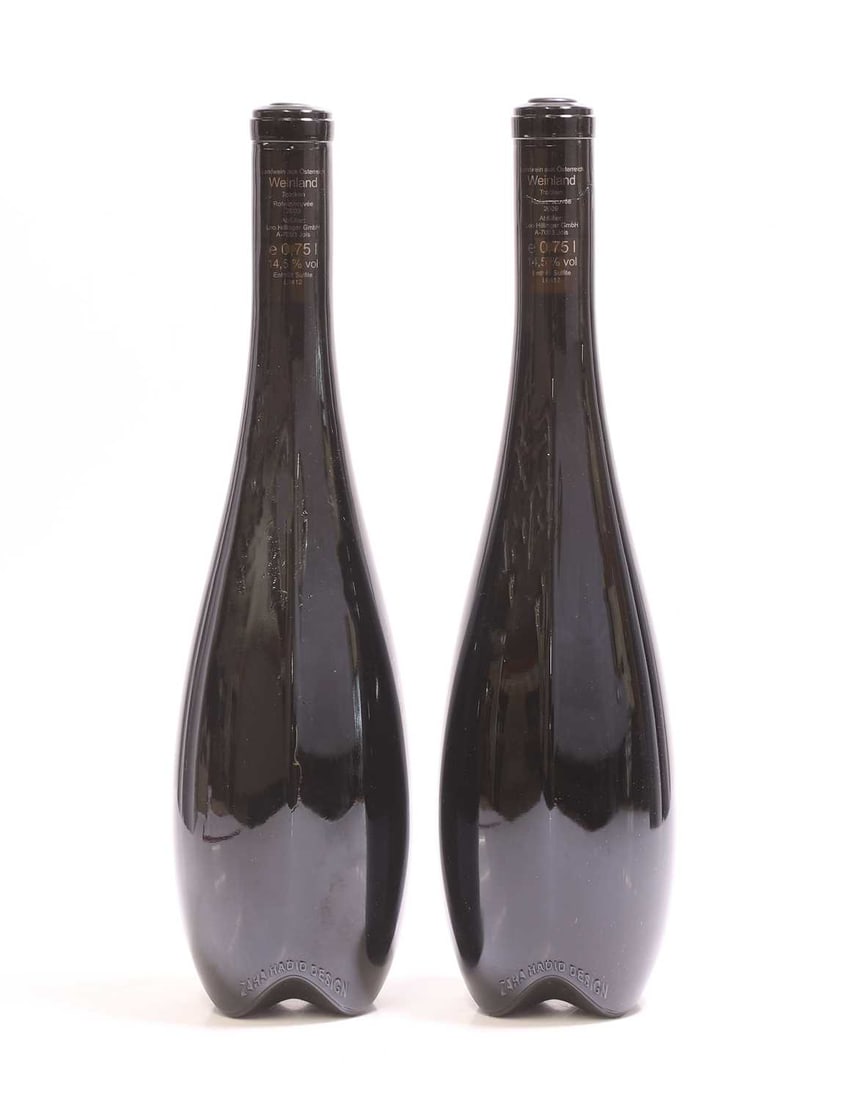 Leo Hillinger, Icon Hill, 2009 - 3