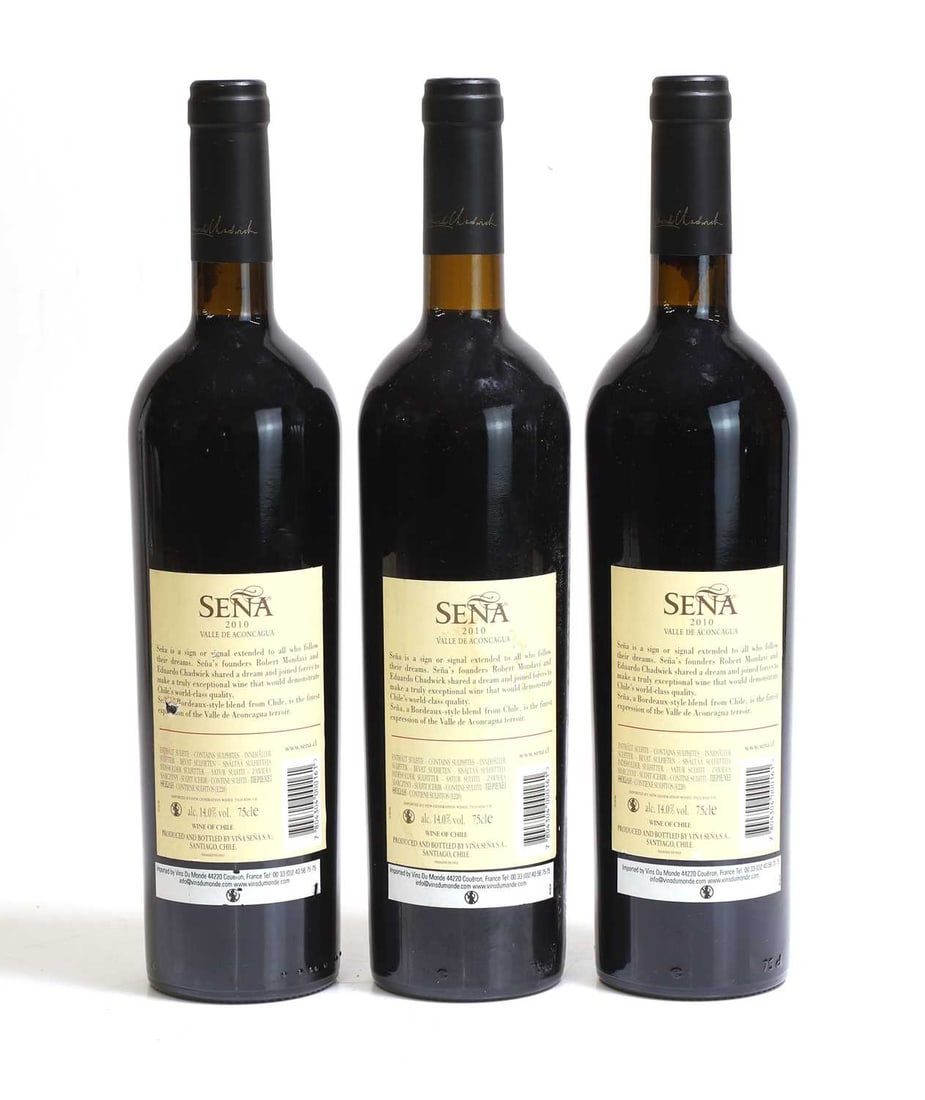 Sena, Aconcagua Valley, 2010 - 2