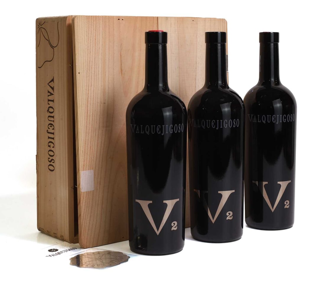 Valquejigoso V2, 2008 - 2