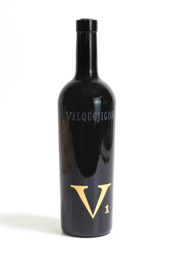 Valquejigoso V1, 2008 - 12