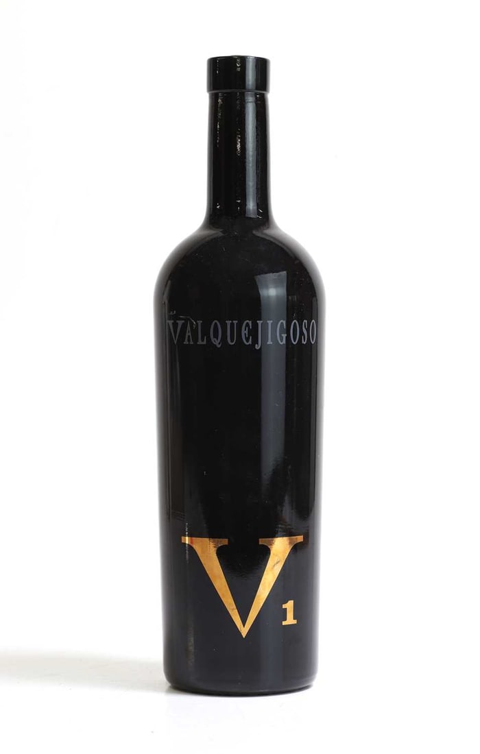 Valquejigoso V1, 2008 - 17