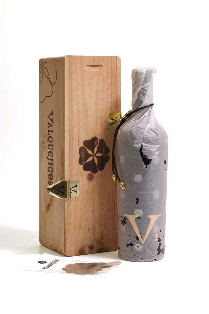 Valquejigoso V1, 2008 - 2