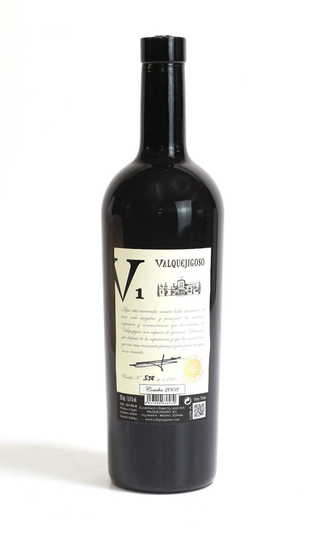 Valquejigoso V1, 2008 - 6