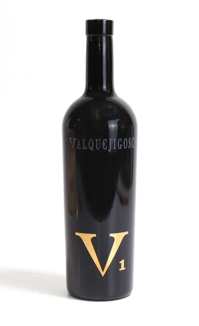 Valquejigoso V1, 2008 - 7