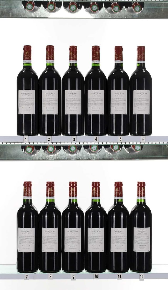 Chateau Chasse-Spleen, Moulis-en-Medoc, 2003 - 2