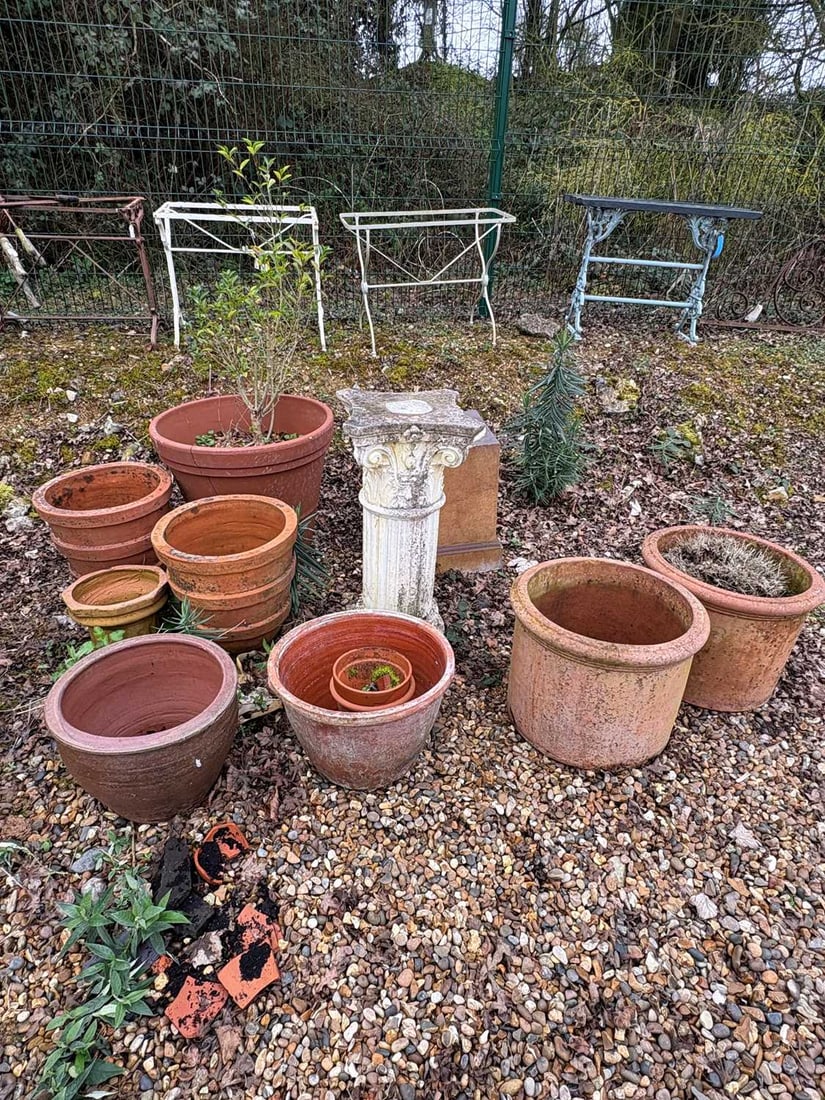 A large collection of terracotta pots, 20th century and later,: A large collection of terracotta pots, 20th century and later, to include a pair of pots with banded decoration, a large terracotta pot with shrub, together with a pair of terracotta pots with moulde