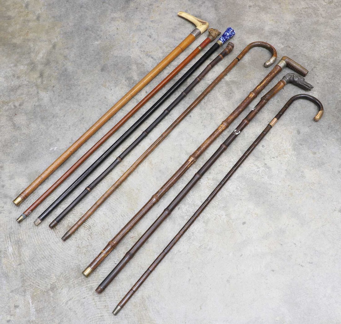 A collection of sword sticks and canes, 19th to early 20th century, - 10