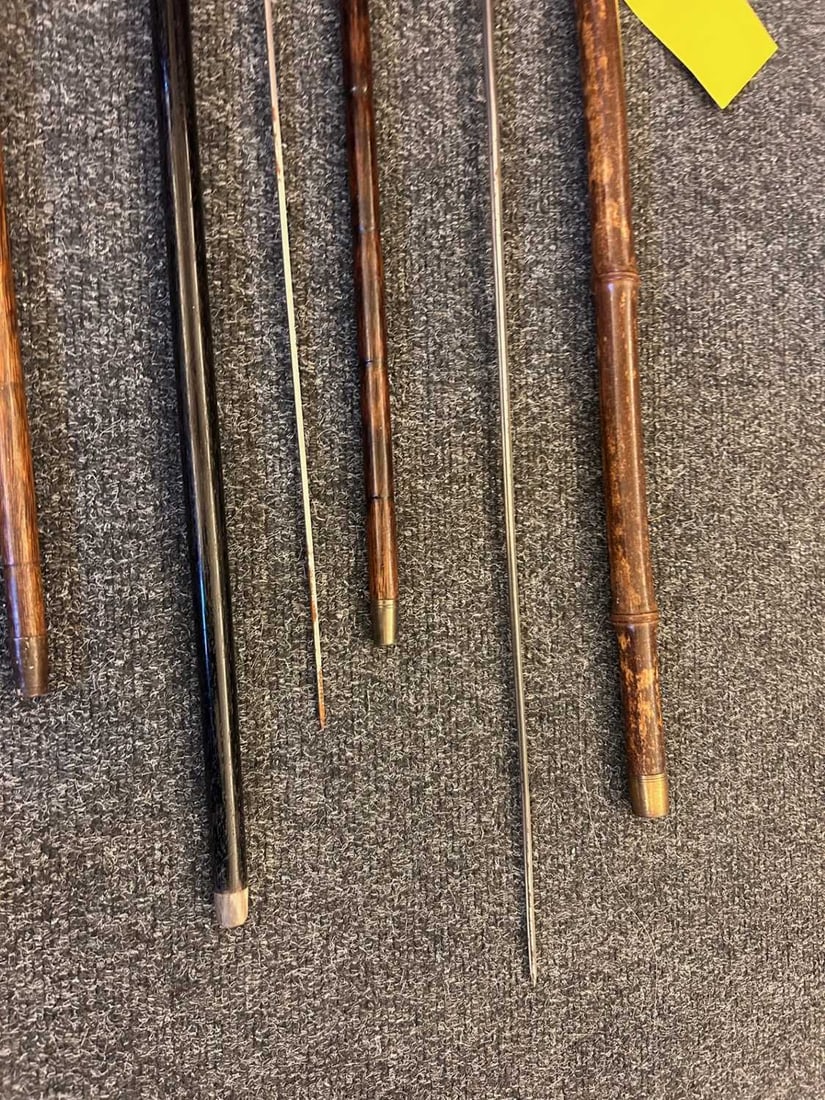 A collection of sword sticks and canes, 19th to early 20th century, - 3