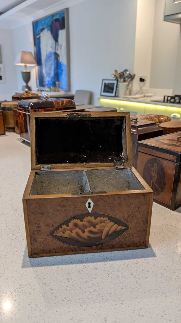 A dome top burr yew tea caddy, early 20th century, - 2