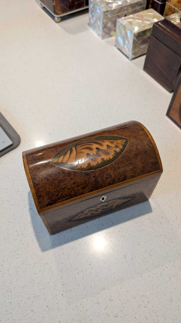 A dome top burr yew tea caddy, early 20th century, - 3