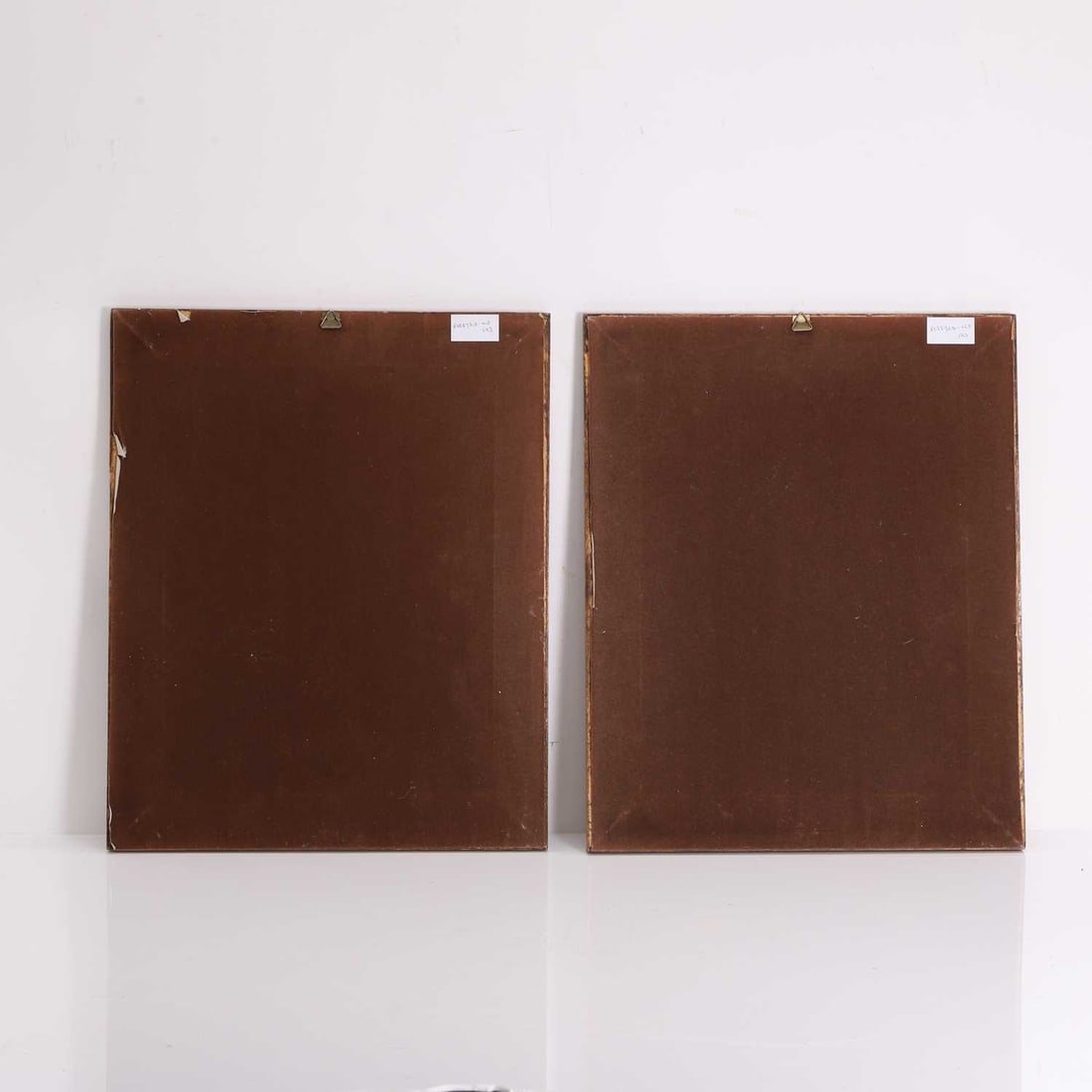 Basilious Besler (German, 1561-1629) - 2