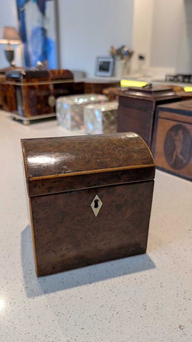 A small burr yew tea caddy, - 4