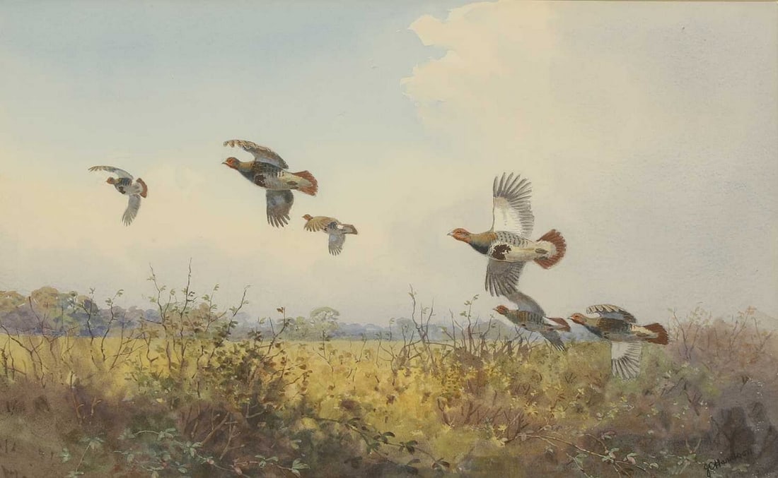 ▲ John Cyril Harrison (British, 1898-1985) A covey of partridges: ▲ John Cyril Harrison (British, 1898-1985) A covey of partridges signed 'J C Harrison' l.r., watercolour over pencil (36.5 x 55.5cm; framed 61 x 80cm) Provenance: With The Tryon Gallery Ltd., Lo