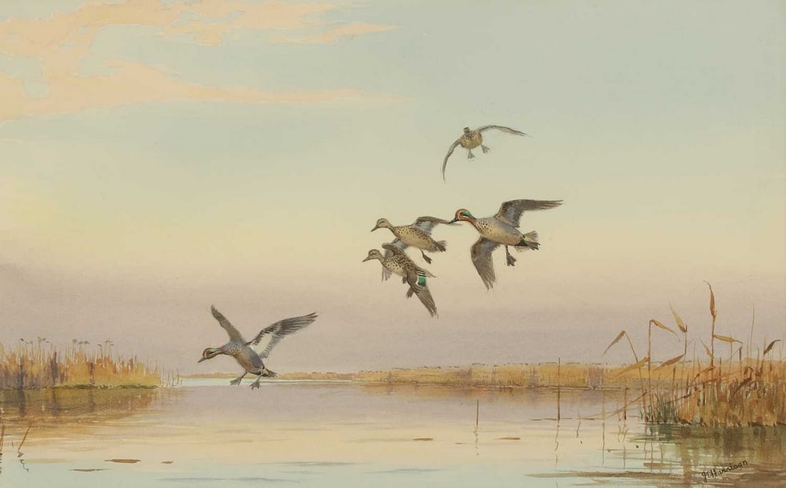 ▲ John Cyril Harrison (British, 1898-1985) 'Teal About to Alight': ▲ John Cyril Harrison (British, 1898-1985) 'Teal About to Alight' signed 'J C Harrison' l.r., watercolour over pencil (37 x 55.5cm; framed 61 x 79cm) Provenance: A private collection, France. Fo