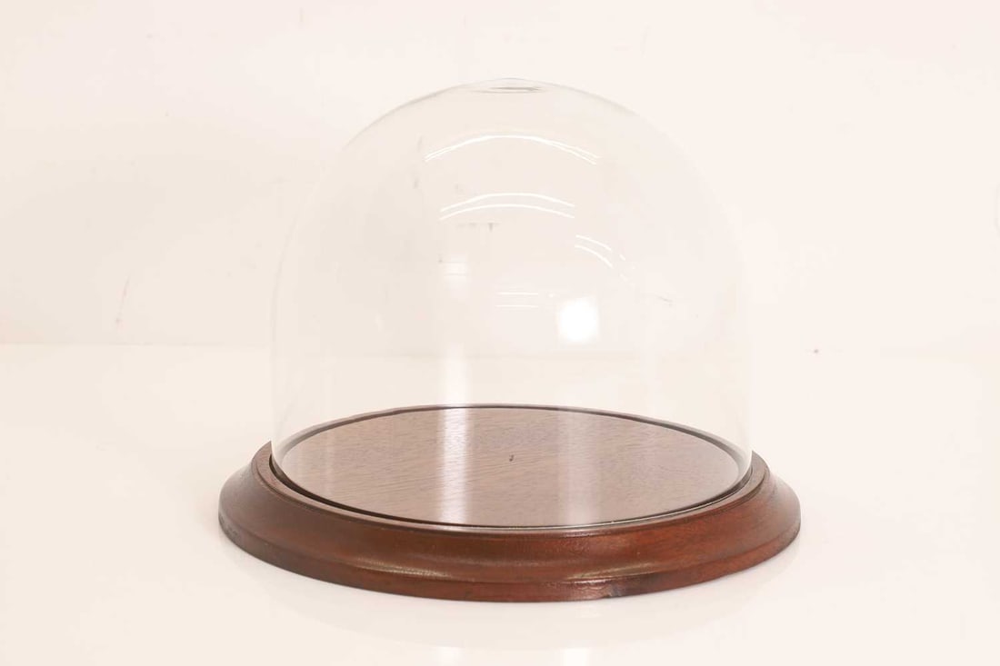 A glass dome, 20th century,: A glass dome, 20th century, with a moulded mahogany base 24cm diameter, 18cm high 2 Condition Report: Good overall.