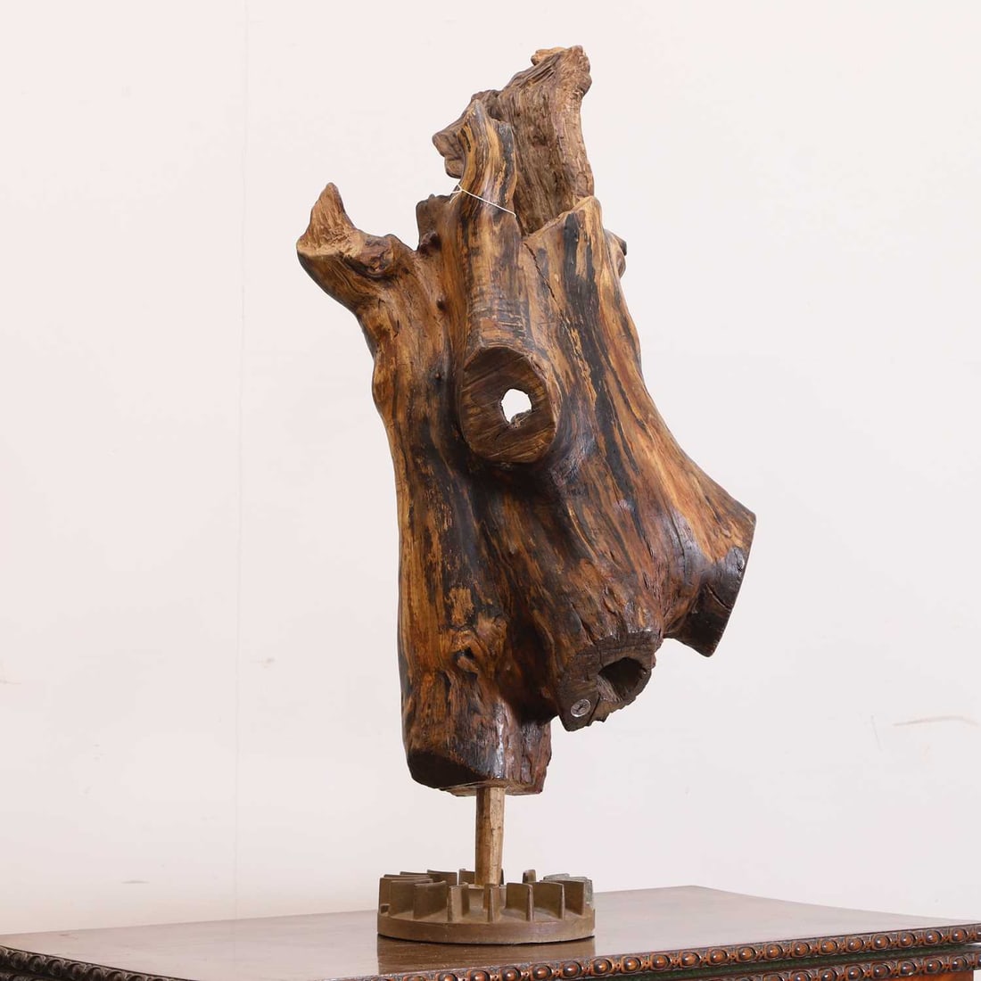 Lisa Culley (Contemporary) A tree trunk sculpture: Lisa Culley (Contemporary) A tree trunk sculpture A large hollowed out trunk with changeable LED lights 30cm wide, 40cm high