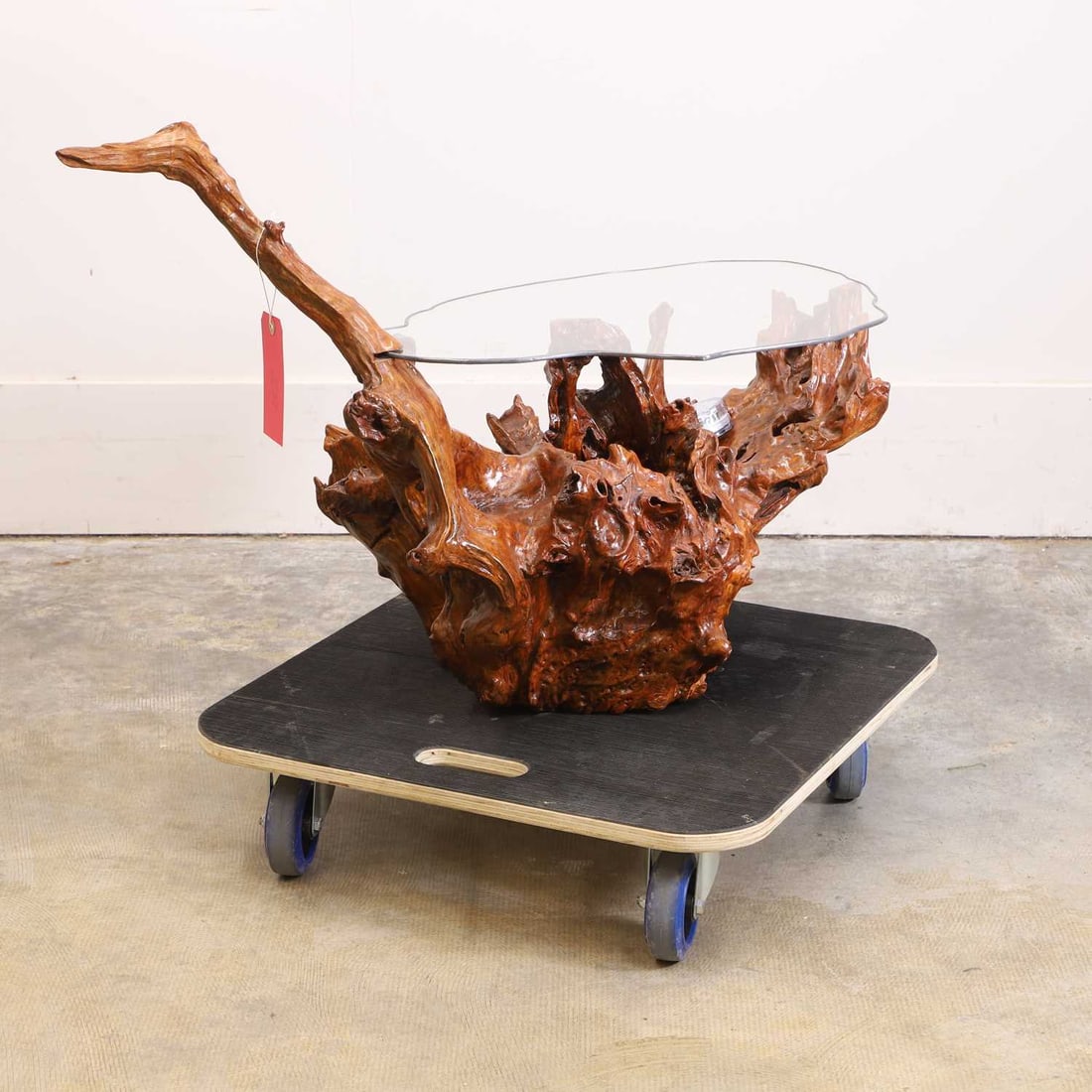 Lisa Culley (Contemporary) A small glass top root coffee table,: Lisa Culley (Contemporary) A small glass top root coffee table, the shaped top on naturalistically formed base, with battery powered LED 78cm wide, 48cm deep, 36cm high