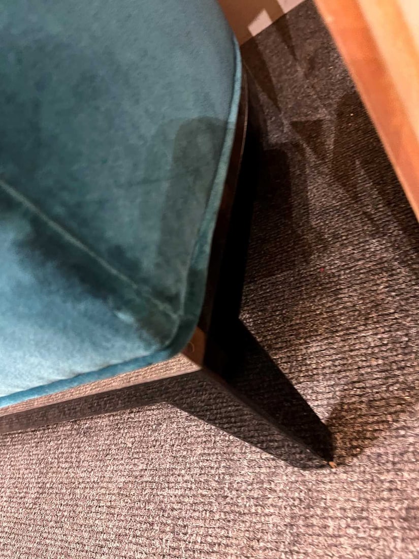 Amy Somerville, a sofa, - 13