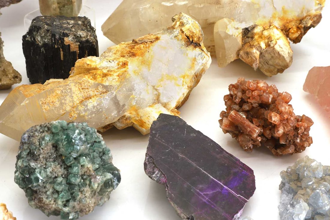 A collection of semi precious stone and petrified wood fragments - 2