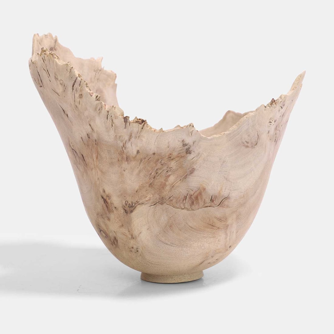 Jayne Armstrong two dishes, - 5