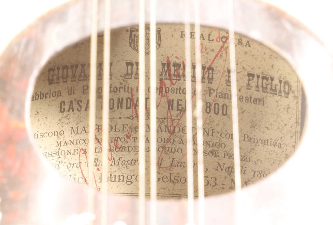 A Giovanni de Maglio model 1A mandolin, early 20th century, Italian, - 3