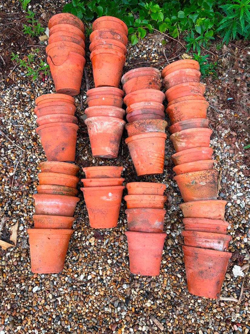 A large quantity of teracotta garden pots, By G&A Tuck Waltham Abbey Pottery, (1 of 1)