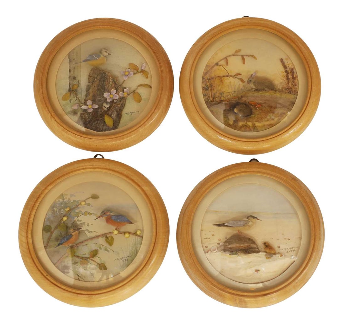 H. E. Tim Hervey R.M.S. 20th century,: H. E. Tim Hervey R.M.S. 20th century, a collection of four nature diorama studies with painted backgrounds, framed and glazed with birds, and one example with a rabbit, all with labels to the back