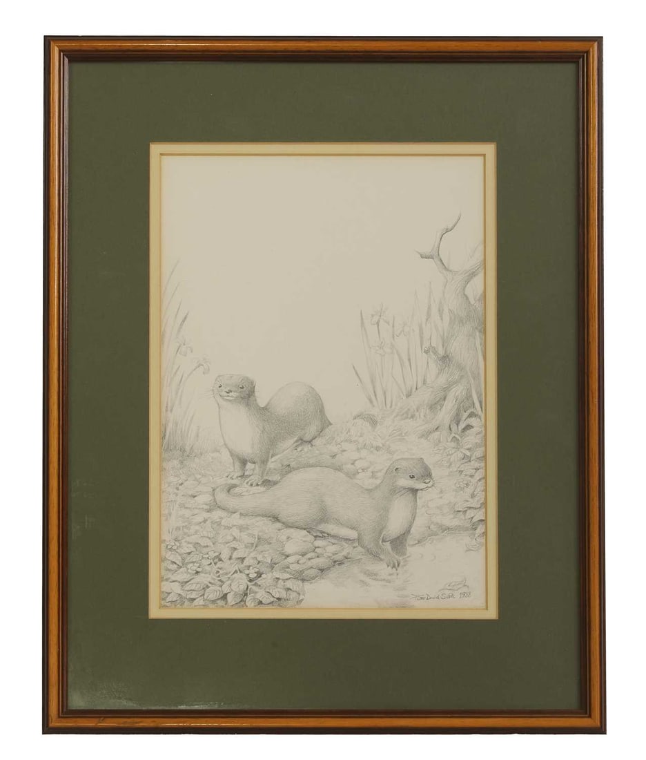 Peter David Scott (British, 20th century) A pair of otters - 2