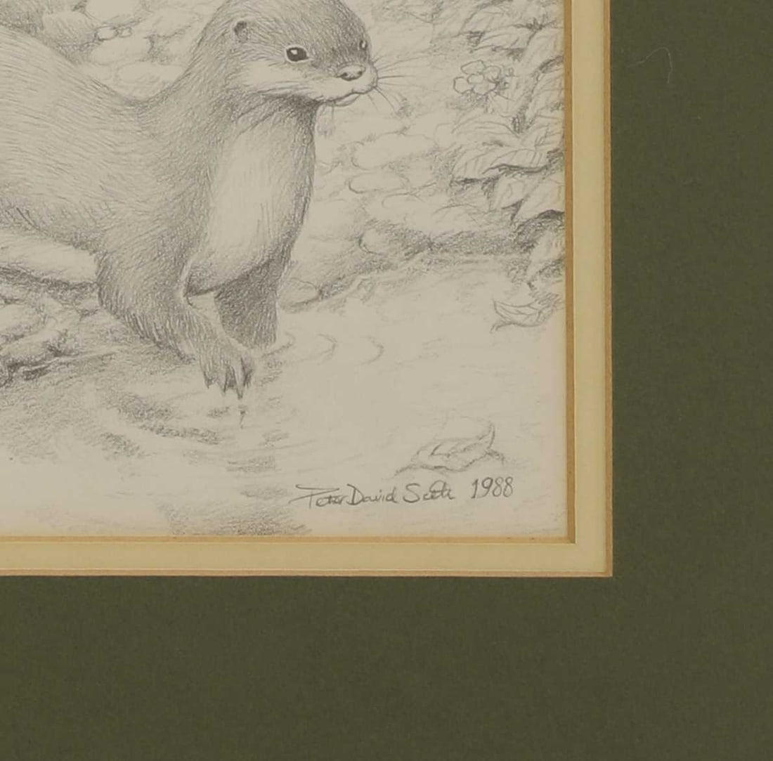 Peter David Scott (British, 20th century) A pair of otters - 3