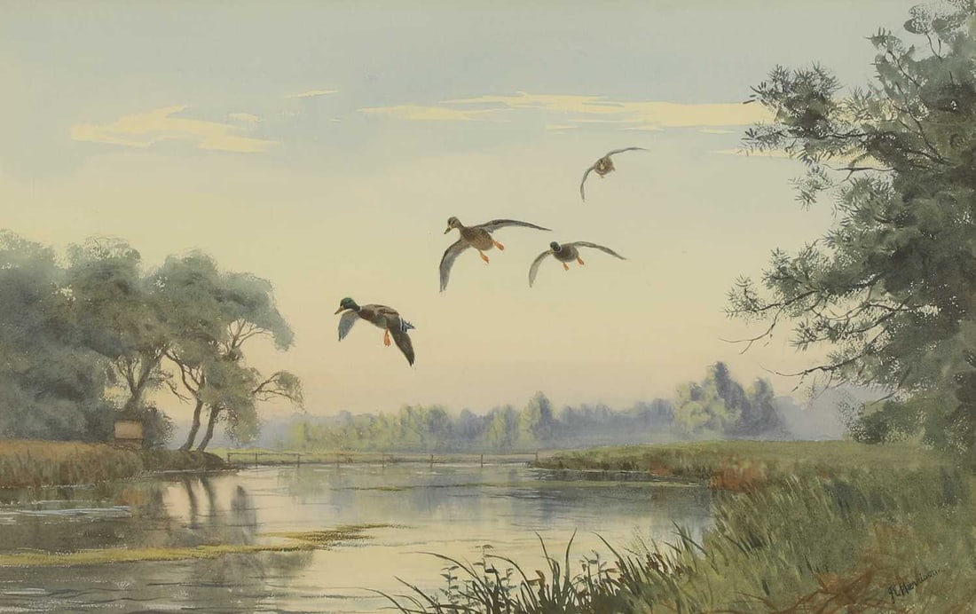 John Cyril Harrison (British, 1898-1985) Mallard alighting on the Test: John Cyril Harrison (British, 1898-1985) Mallard alighting on the Test signed 'J C Harrison' l.r., watercolour over pencil 37 x 56cm; framed 59.5 x 80cm Provenance: With Mandell's G