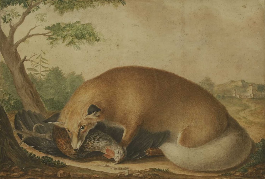 Jean-Baptiste Adanson (French, 1732-1804) 'Renard d'Afrique Mangeant un Chapon' (1 of 4)