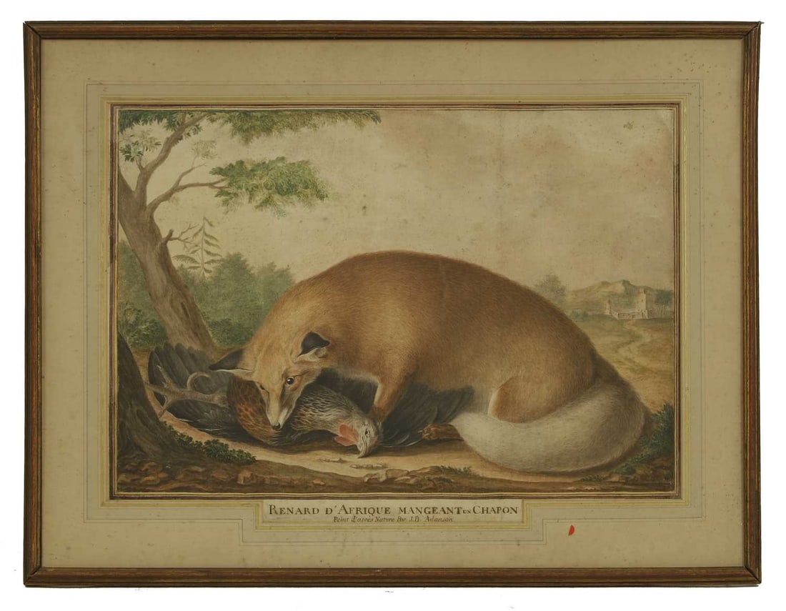 Jean-Baptiste Adanson (French, 1732-1804) 'Renard d'Afrique Mangeant un Chapon' - 2