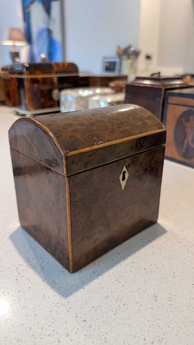 A small burr yew tea caddy, - 3