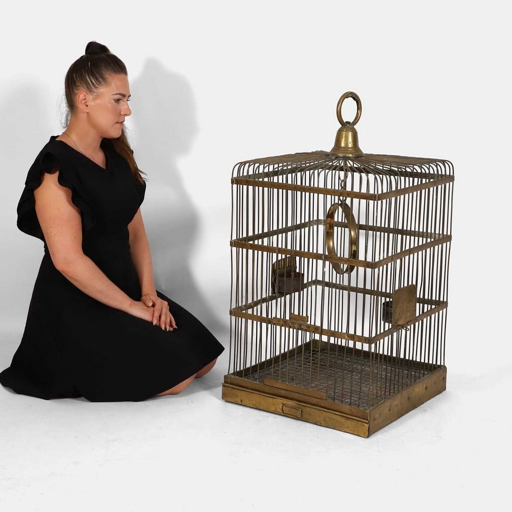 A large Victorian brass bird/parrot cage, late 19th century,: A large Victorian brass bird/parrot cage, late 19th century, of square shape with a domed top, with a sliding door, the interior with a large brass hanging perch, with a brass hook for suspension (45c