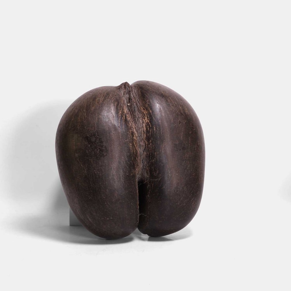 A coco de mer (Lodoicea maldivica) basket, early 20th century, (1 of 2)