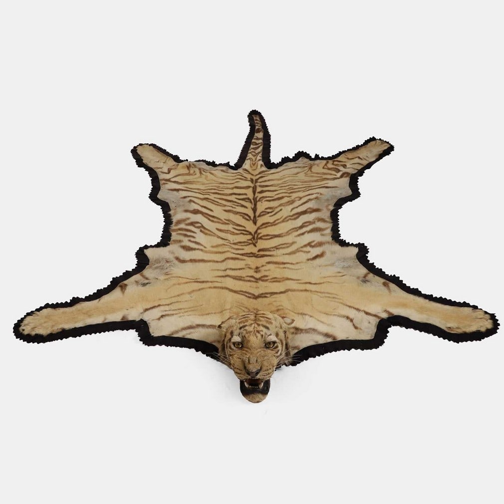 § A taxidermy Bengal tiger (Panthera Tigris Tigris) skin and head mount, circa 1944-45, by Van (1 of 2)