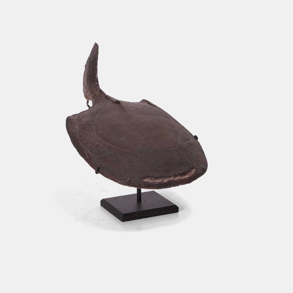 A fine plaster model of a Drepanaspis, 1920s, by Vernon Edwards,: A fine plaster model of a Drepanaspis, 1920s, by Vernon Edwards, swimming naturally, on a bespoke metal stand (16cm wide, 17cm deep, 24cm high overall) Provenance:: From the collection of Tim