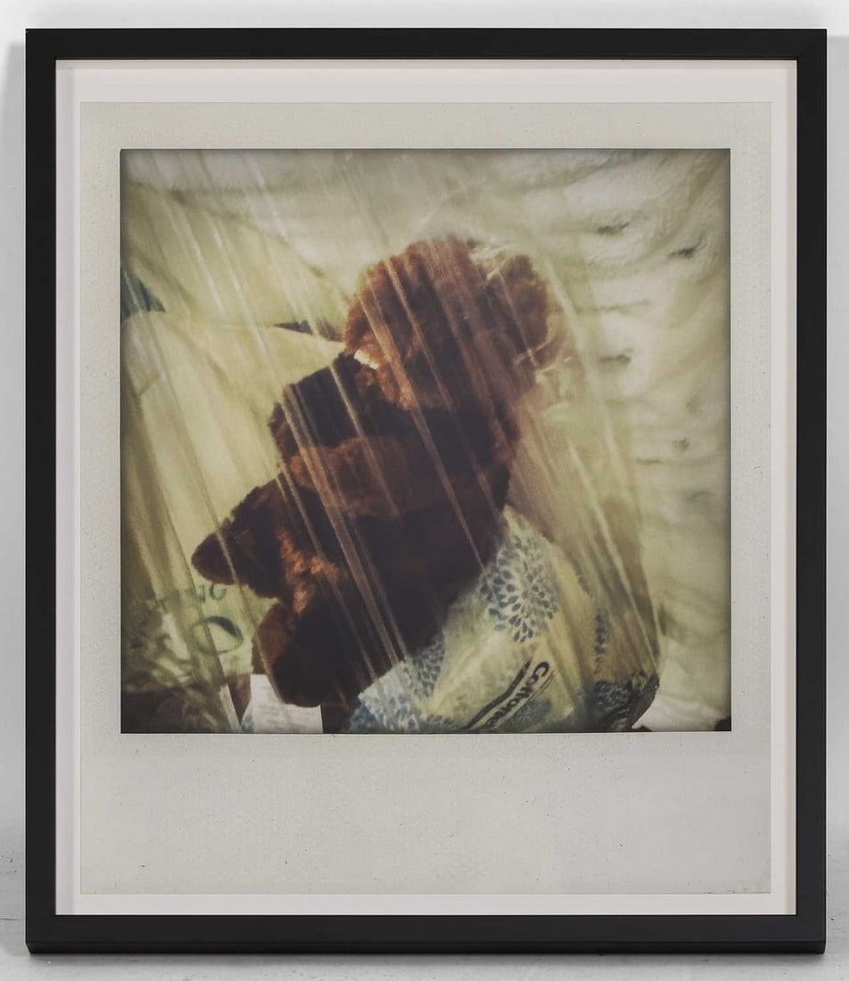 ▲ Nick Cave (Australian, b.1957) 'Teddy in a Bag' (1 of 1)