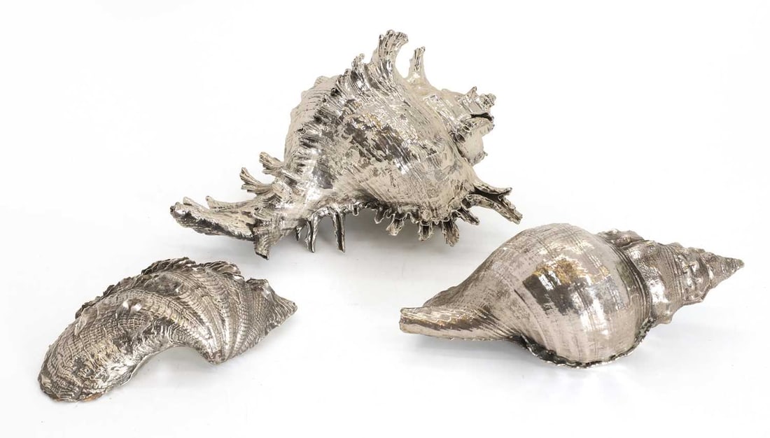 A collection of large Italian silvered shells in the style of Buccellati, mid 20th century,: A collection of large Italian silvered shells in the style of Buccellati, mid 20th century, one modelled as a murex, another example as a conch and one other as a clam largest (murex): 20cm wide,